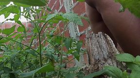 bbw amateur homemade big ass mija no mato