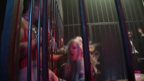 A Group of Men Give a Caged Blonde Slut an Unforgettable Double Penetration