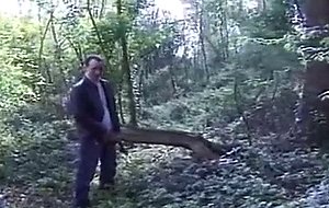 Mischief In The Forest.