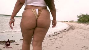 brija monet wet t-shirt play