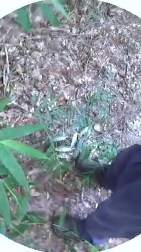 In the Woods