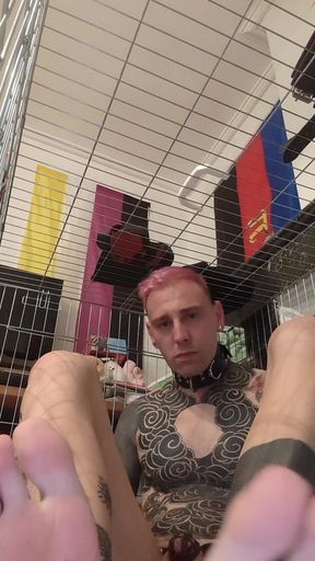 Day 13 of Chastity - Obeying Master Like a Good Sock-sniffing