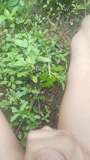 Desi boy anal Masturbation