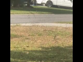Masturbating for my neighbour. This guy kept trying not to see