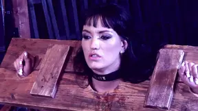 Salve Factory: Babe's wet pussy gags on huge cock