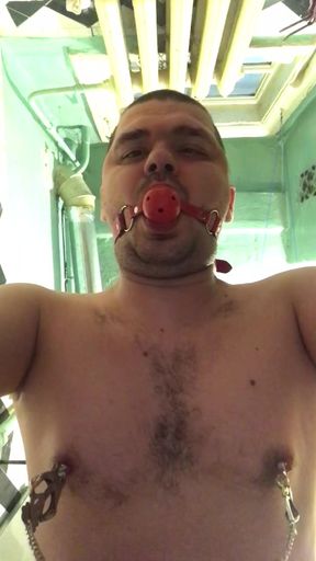 nipple clamps and gags in home