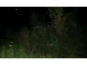 Lo que pasa a la noche en el monte