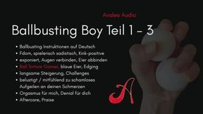 Ballbusting Boy Bundle | Avalee Audio | German | JOI | CBT | Edging | Denial | Playful | Kink Positive | Harte Hand | Keine Harten Worte | Du leidest so süß für mich!