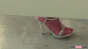 Gloryhole fun with tgirl jessica foxx