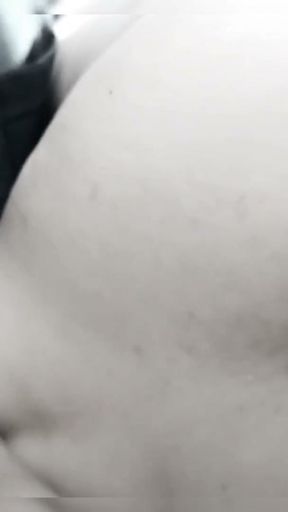 Wild 🐰 Bunny White and Black Video Series Mili069, Mili Mili, Jhon Deivis Jhon Deivys   Clip 3