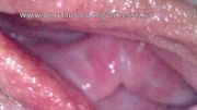 Unaware Giantess shrunken date gets fucked Endoscopic Camera POV