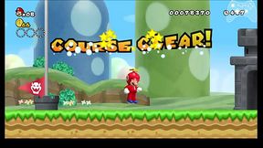 New Super Mario Bros. Wii Any% &quot_Speed&quot_run