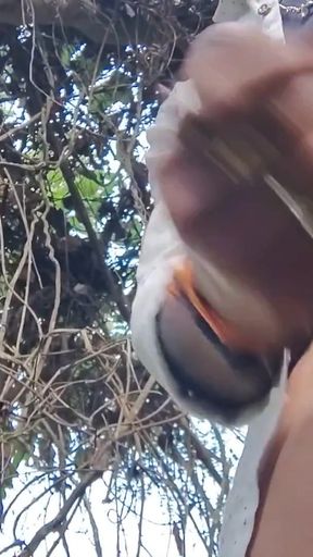 Habit ajoi ne bm ka chephok   Clip 2