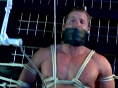 Sub Gets CBT Torment