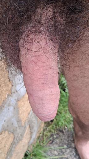 pissing with a soft cock