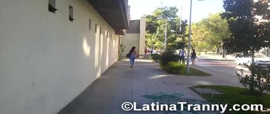 Trap Sheila Gisel Ortega and Nikki Montero handjob