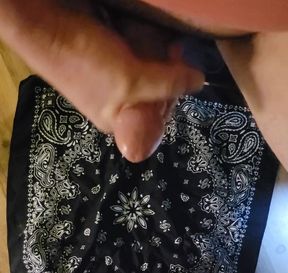 Qick cumshot
