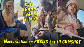 Cute tranny girl masturbation on public bus until cumshot!