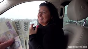 Busty BBW MILF anally fucked in car for money