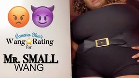 Your tiny Wang Rating SpH PoV JOi