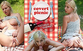 Covert Picnic