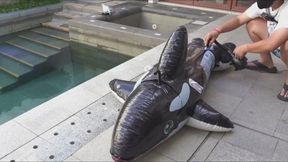 Summer Trilogy 01: Inflatable Dolphin on Water