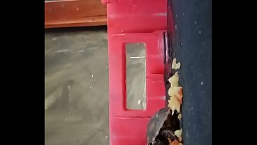 Tartaruga comendo ma&ccedil_&atilde_