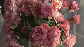 peony🥰
