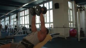 The Berlin Workout