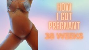 Who Got Me Pregnant?!