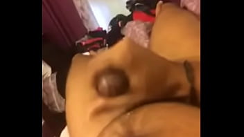 Paja Dominicano