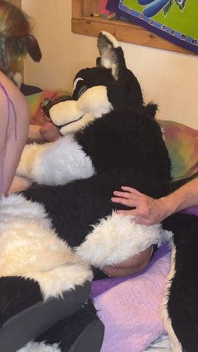 Furry Love - Cliff Media Productions   Clip 1