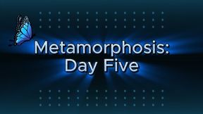 Metamorphosis: Day Five
