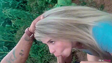 Chupei o pau do meu CUNHADO escondida no milharal