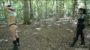 Forest double Bullwhip