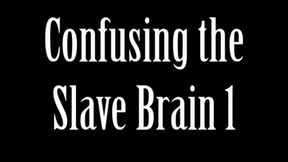 Confusing The Slave Brain Part 1