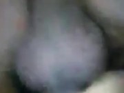 Enseñando la verga