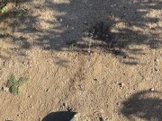 Outdoor piss • backyard