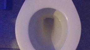 I PEE GOLD U WIGH GOLD WITH A CALCULATOR MUNEKEY PAW GAME