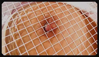 Naughty Suzu Minamoto puts vibrator on hot box