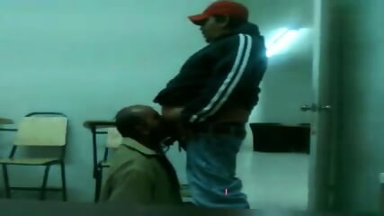 Fat Daddy Bear Sucks Chub