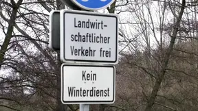 Brunette milf in a costume of a witch just been caught and fucked in the ass from a forest keeper