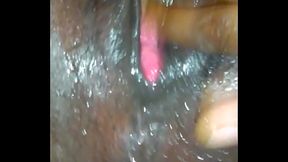 DARKIE Delight SQURITS...