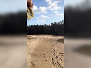 BLACK COUGAR TWERKING ON THE BEACH IN A SWIMSUIT