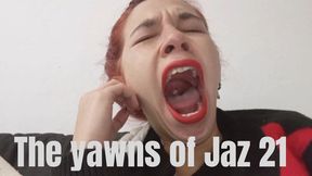 The yawns of Jaz 21
