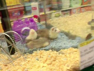 banging large bazookas mother i'd like to fuck