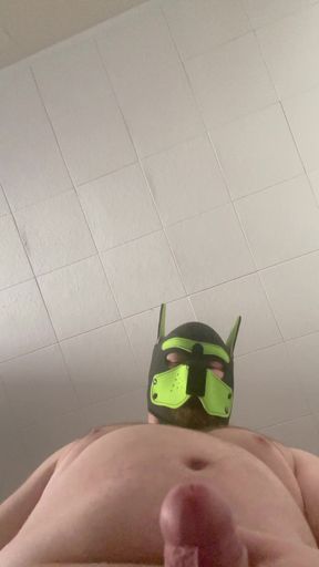 Chubby Pup sits on your face (POV)