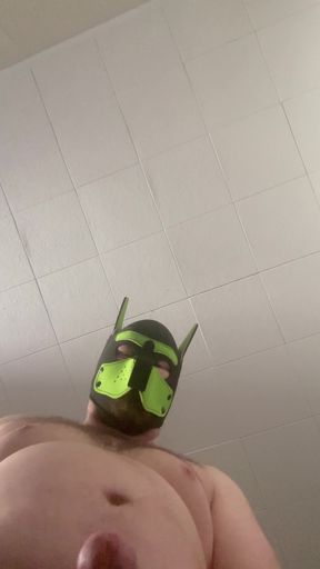 Chubby Pup sits on your face (POV)