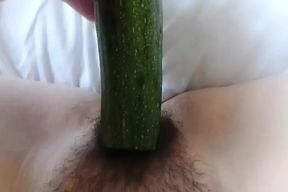 cucumber