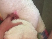 Cumming on my white plushie unicorn